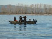 Anglers in the lower Columbia River this spring have kept almost 12,000 chinook and released almost 3,000.