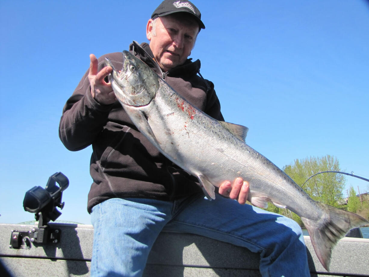 Dick Borneman of Vancouver with a spring chinook caught in April slightly upstream of the Interstate 5 Bridge.