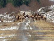 State wildlife officials started increasing the number of antlerless permits around Mount St.