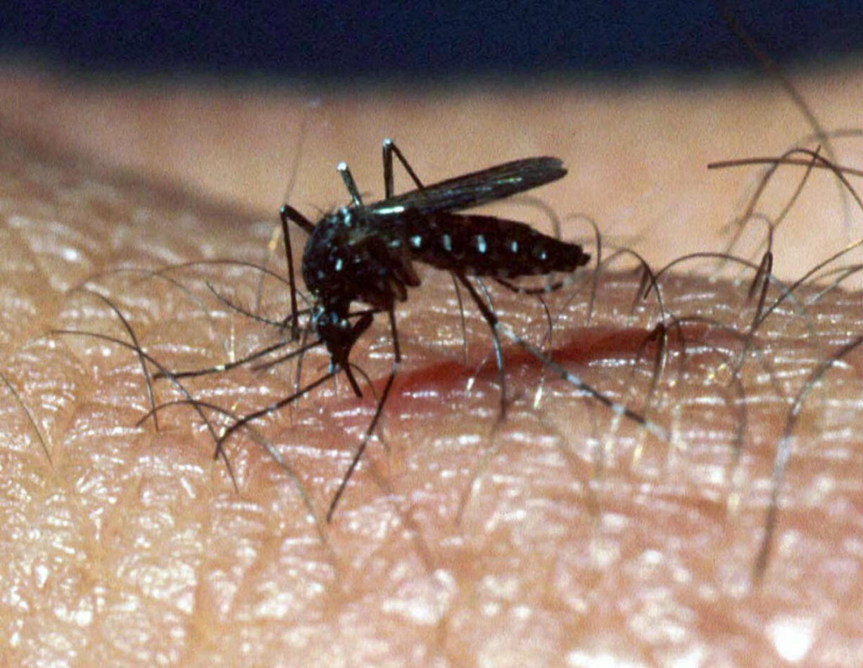 Now is a good time to reduce mosquito populations by removing standing water from around the home.