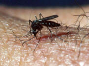 Now is a good time to reduce mosquito populations by removing standing water from around the home.