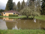 Water pools in a yard on 228th Street in Battle Ground.