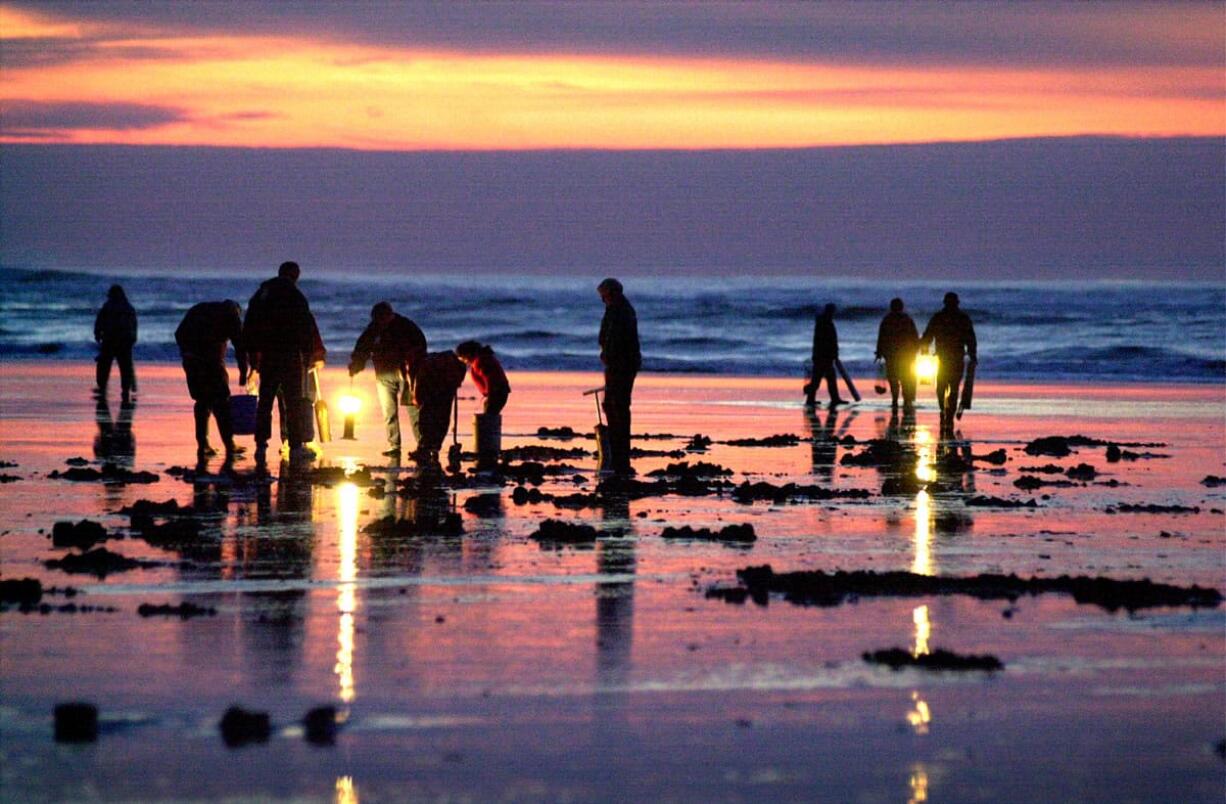 Razor clam digging in the fall and winter is on afternoon and evening low tides.