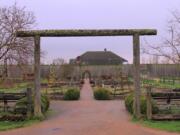 Robb Rosser
Even in winter, the structural layout of pathways, borders and rose arbors draws you into the Fort Vancouver Historic garden.