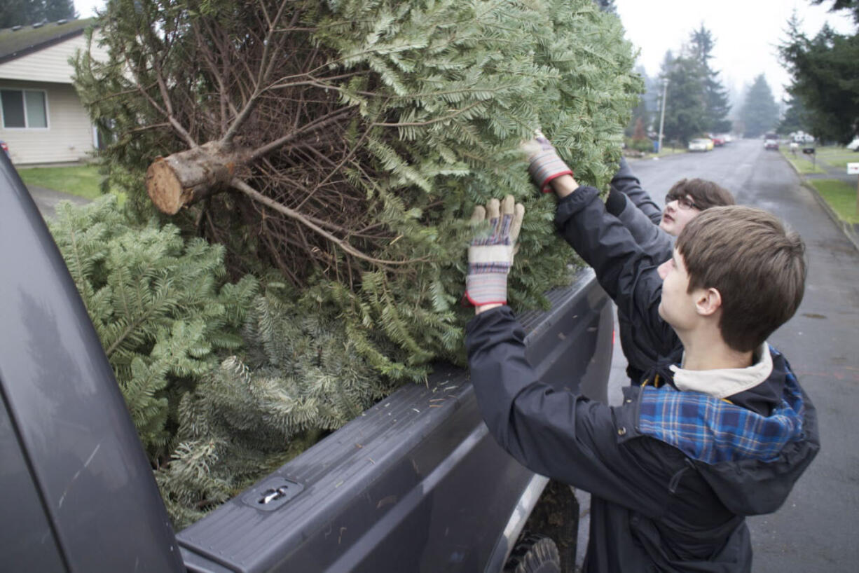 Eric Knotts, 16, front, and Gregg Marshall load a Christmas tree into the back of a truck Saturday.