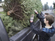 Eric Knotts, 16, front, and Gregg Marshall load a Christmas tree into the back of a truck Saturday.