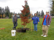 Fircrest: Fircrest residents plant trees Thursday at LeRoy Haagen Memorial Park with help from Vancouver's Urban Forestry Program and Washington AmeriCorps.