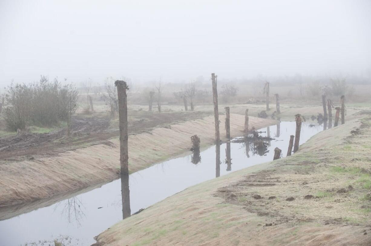 A restoration project wrapping up in La Center aims to better connect the East Fork of the Lewis River with nearby wetlands at La Center Bottoms. The work added three new connecting channels in the area and realigned an existing channel.