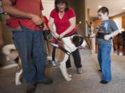 Kirsten Becker, executive director of Autism Anchoring Dogs, center, attaches a tether connecting Saint Bernard Andy to 9-year-old Deklan Montes, who has autism, in the Montes family&#039;s  Vancouver home.