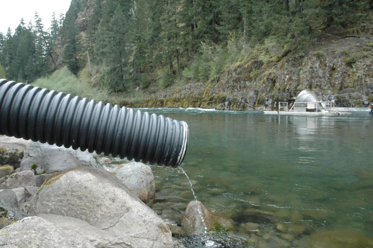 Coho tend to congregate in the upper North Fork of the Lewis River near their release site, shown here, opposite Eagle Cliff.The device across the river is a trap used to capture and sample downstream-migrating young fish.