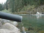 Coho tend to congregate in the upper North Fork of the Lewis River near their release site, shown here, opposite Eagle Cliff.The device across the river is a trap used to capture and sample downstream-migrating young fish.