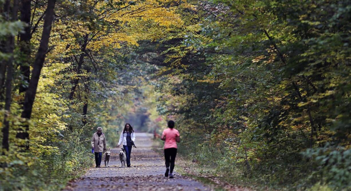 To women walk dogs as a runner approaches under a canopy of muted green and yellow leaves while walking on the rail trail in Windham, N.H. New England&#039;s fall foliage is a little less glorious this autumn, as experts say a hotter than usual September and a dearth of rainfall are two reasons for the late and largely muted color display.