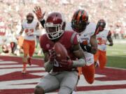 Washington State wide receiver Dom Williams (80) makes a touchdown catch against Oregon State cornerback Treston Decoud during the first half of an NCAA college football game, Saturday, Oct. 17, 2015, in Pullman, Wash.