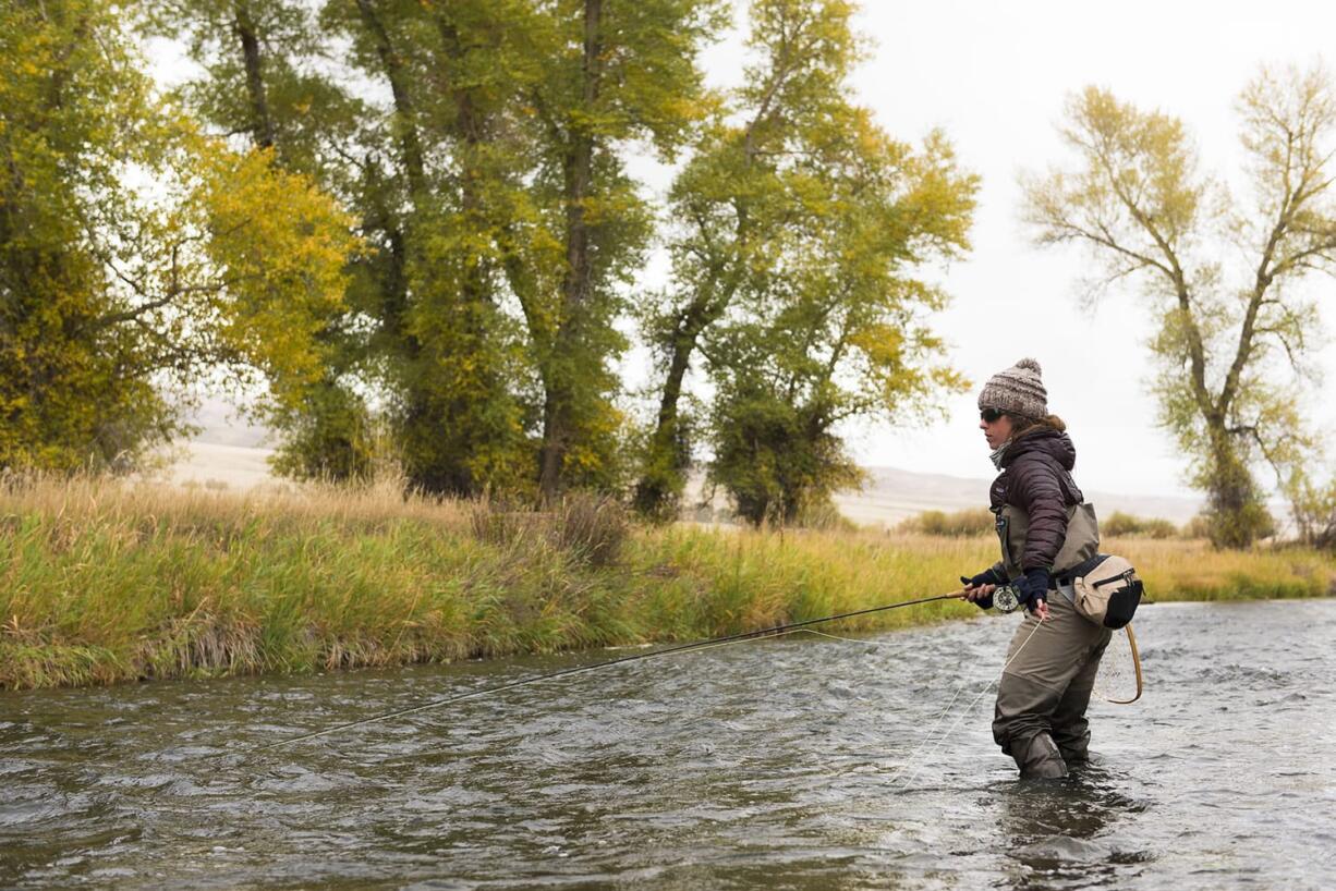 Erin McCleary fishes a small stream south of Butte, Mont. Cooler temperatures during fall prompt brown trout to begin their annual spawning run.