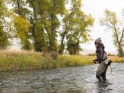 Erin McCleary fishes a small stream south of Butte, Mont. Cooler temperatures during fall prompt brown trout to begin their annual spawning run.