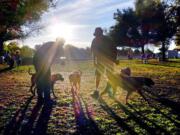 Visitors and their dogs take advantage of a sunny afternoon at the Sepulveda Basin Dog Park in the Encino section of Los Angeles. Millions of children, seniors and postal carriers were bitten by dogs across the country in 2014. California led the way in insurance claims filed, settlements paid and postal carriers bitten.