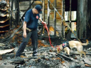 Glory, a 3-year-old yellow Labrador and an ignitable liquid detection K-9 who started out as an assistance dog, is owned by Keith Lynn of Evansville, Wis.