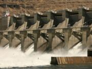 Water pours out of the Lower Granite Dam on the Snake River in July 2006 near Pomeroy. Farmers, shippers and other dam supporters fiercely defend the structures as keys to the region&#039;s economy.