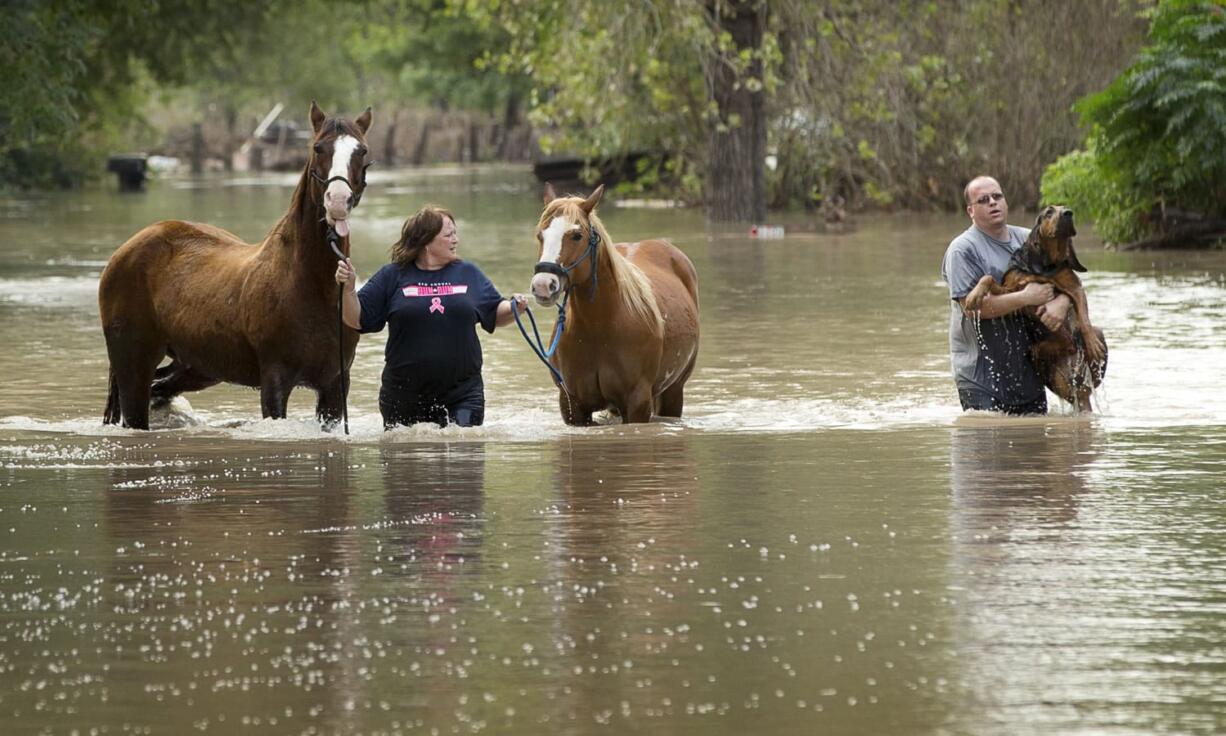 Rhonda Burnett walks her horses through flood waters while Lee Hays carries a neighbor&#039;s dog Saturday in Garfield, Texas.