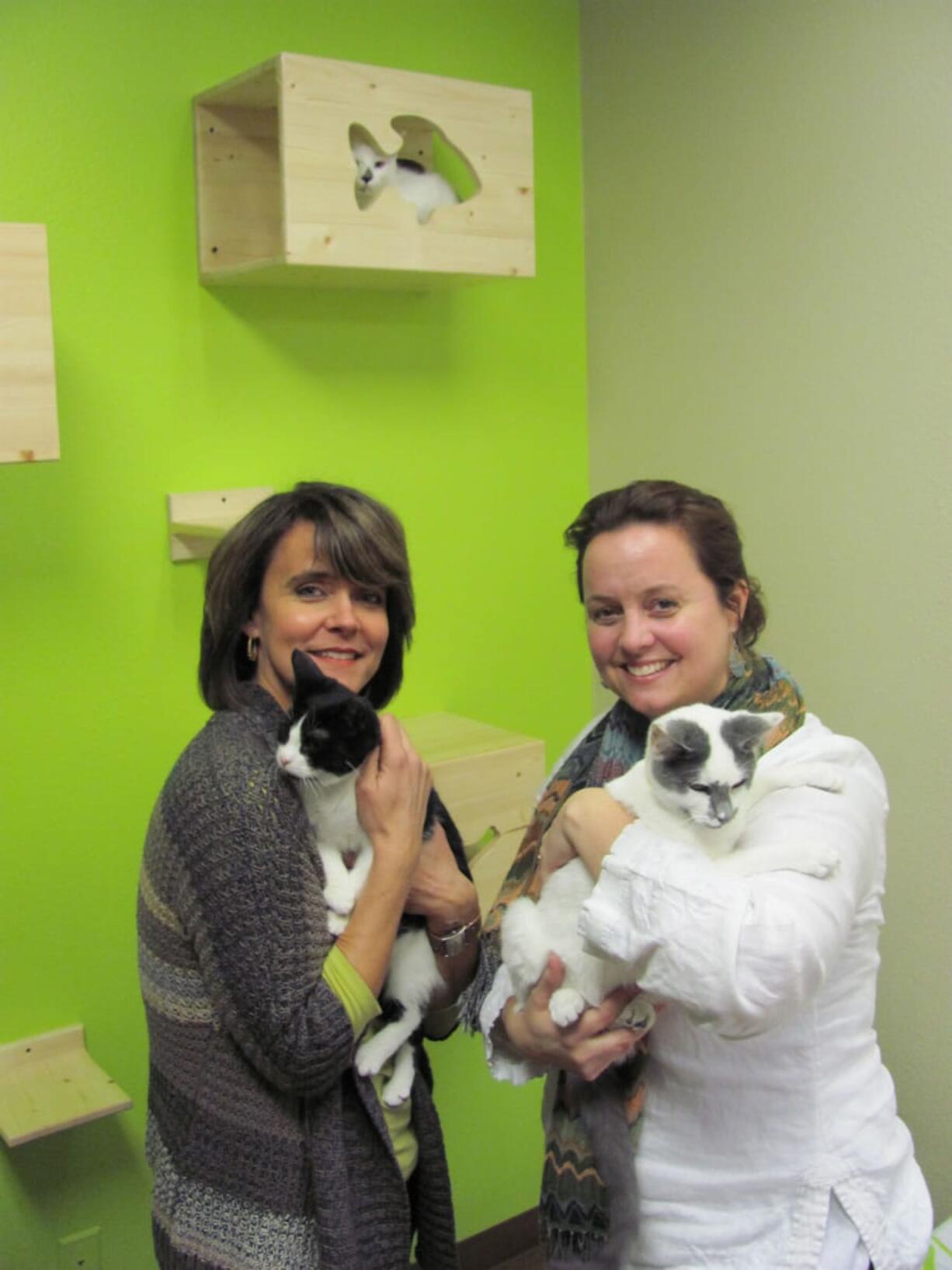 Jo Schmidt and Amber Groff interact with several West Columbia Gorge Humane Society cats available for adoption at The Cats Meow.  &quot;My lifelong dream was to bring cat lovers together,&quot; Schmidt said.