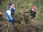 Daniel Bomber, 17, left, and Vancouver City Councilman Bart Hansen clear ivy from the Blanford Canyon Nature Trail as part of the 2013 Martin Luther King Day of Service.