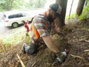 Volunteer Nick Lock plants seismic sensors along state Highway 503 east of Woodland in preparation for detonation tests in July 2014 aimed at giving scientists a better look at what is happening below Mount St. Helens.