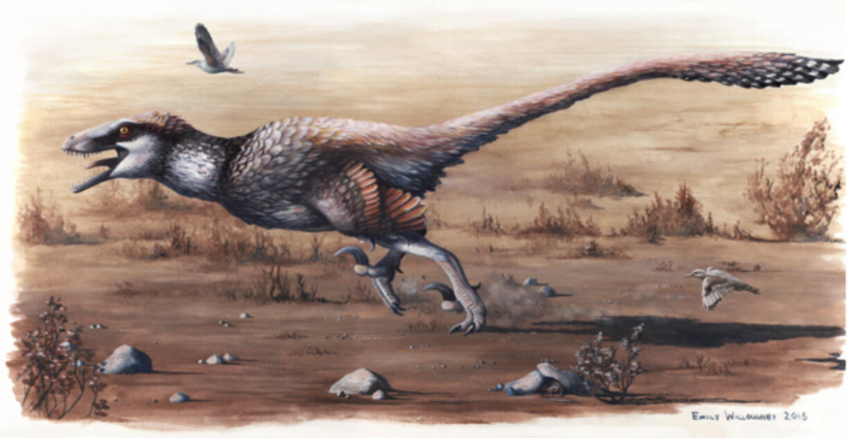 Dakotaraptors, big dinosaurs with small wings, hunted the Midwest 66 million years ago.