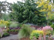 Terra Nova demonstration gardens feature a mix of flowers and foliage in a complementary plant palette.