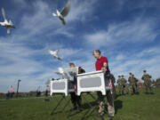 White doves from Bright Eyes Dove Release take flight as part of the Veterans Day celebration on Nov.