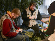 Hunter Lauritsen, from left, and Maisen Ochoa trim the leaves from marijuana plants at Tom Lauerman&#039;s medical marijuana farm. The men wore vests with toxin monitoring devices that were collecting microbes from the air for the National Institute for Occupational Safety and Health.