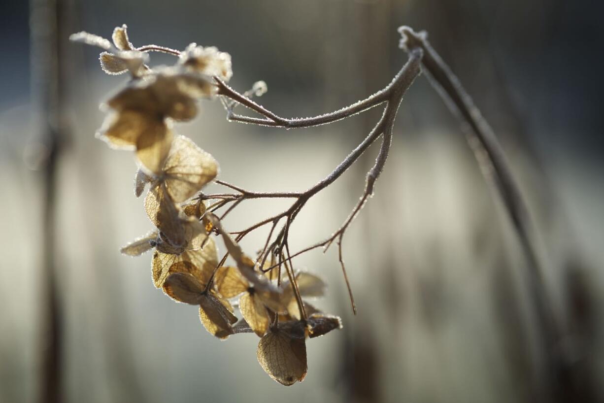 Below-freezing temperatures created a frosty landscape across Clark County on Thursday morning, and slick road conditions in places.