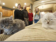 From left, Ableidinger family members Nicolle, Matt, Jacob and Allison have been enjoying raising their latest pair of foster kittens at their Clark County home, where the kittens will live until they&#039;re ready to be adopted.