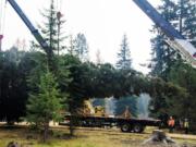 The U.S. Forest Service cut and packed up the Capitol Christmas Tree in the Colville National Forest on Nov. 1. The tree, the second Washington tree chosen for the honor, will stop in Vancouver on Saturday before heading to Washington, D.C.