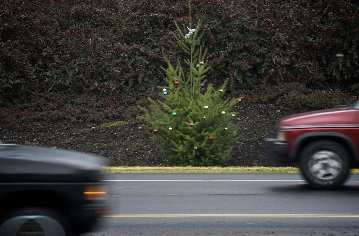 For the last several years, a Christmas elf or group of elves has decorated trees lining the north side of Padden Parkway, just east of Northeast 94th Avenue.