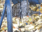 Video tape hangs from a paper recyling machine at the West Van Materials Recovery Center.