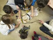 Children at Share Orchards Inn visit with therapy dog Art, a 3-year-old Labrador retriever, on Christmas Eve.