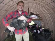 Farmer Erik Halvorson shows off the turkeys he has been raising for Thanksgiving at his farm in the Heisson area, north of Battle Ground.