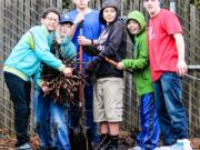 Hazel Dell: Kai Carterby-Keys, right, led Max Neideigh, from left, Nathan Cheh, Alex Hood, Jamie Evans and Justin Ly in removing a large Nootka rose shrub by the roots at a recent Boys &amp; Girls Club of Southwest Washington work party at the Hazel Dell Garden.