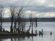 Vancouver Lake