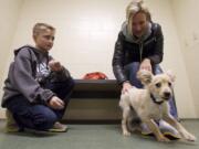 Justin Lazzaretto, 10, and his mother Christi Lazzaretto were weighing Sunday whether to take Jolly, the papillon pup, home to Yacolt.