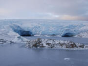 Ashley Nelson took this photo of the Antarctic water and landscape around Palmer Station.