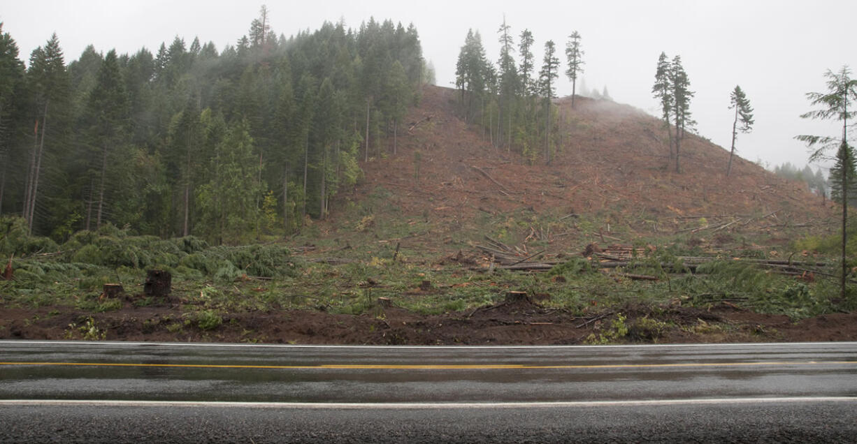 Large swaths of private timberland near Mount Adams have been logged in recent years, leading to what officials call temporary forest loss that showed up in a recent study.