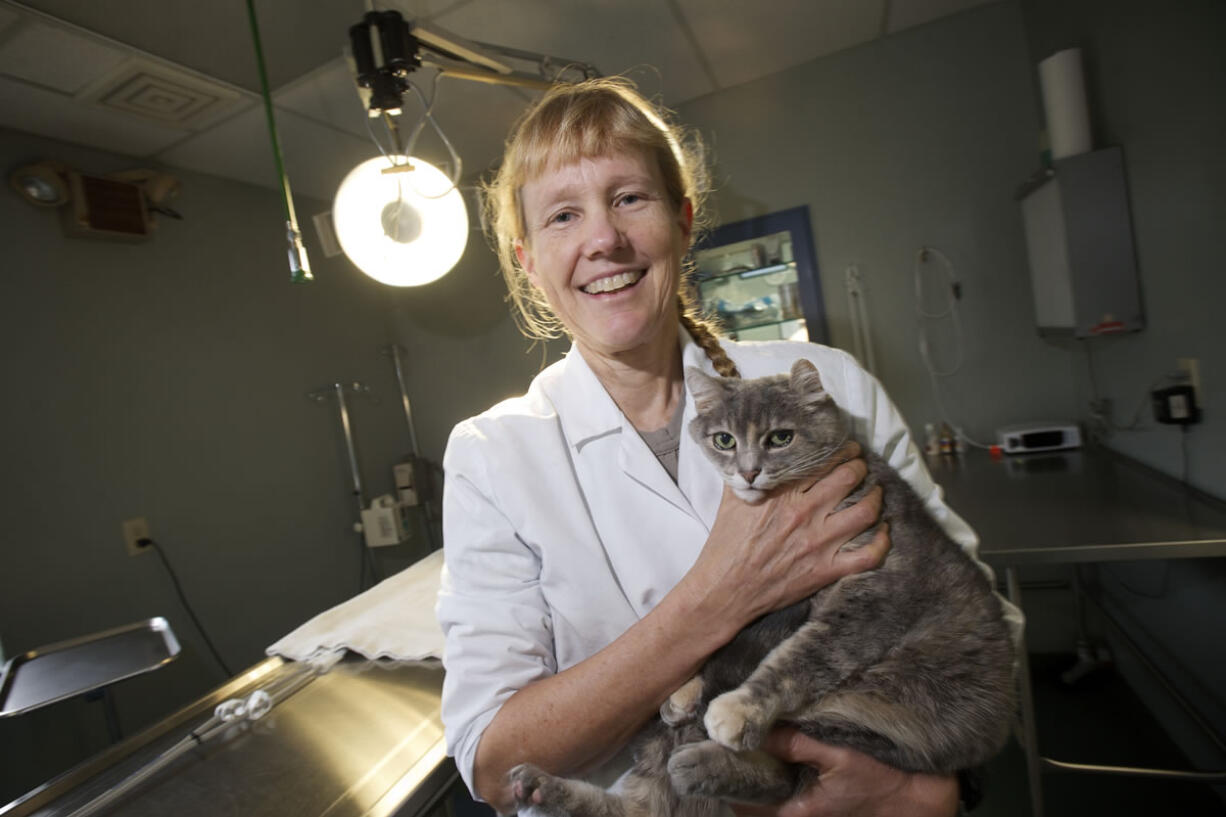 Carrie Burhenn, veterinarian and co-owner of Feline Medical Clinic, holds the clinic's foster cat Gracie.