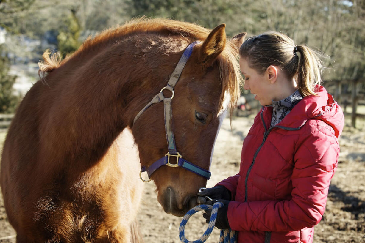 Julie Kennedy visits with Snickers at Cantera Equestrian Center on Monday in Camas. Snickers was one of two horses taken from a massive animal neglect case in Spokane.