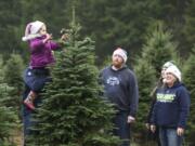 Aubrey Tucker, 3, gets a lift from grandpa Bruce Tucker as she marks their Christmas tree with a ribbon on Sunday at Farrell Farms on Mount Norway.