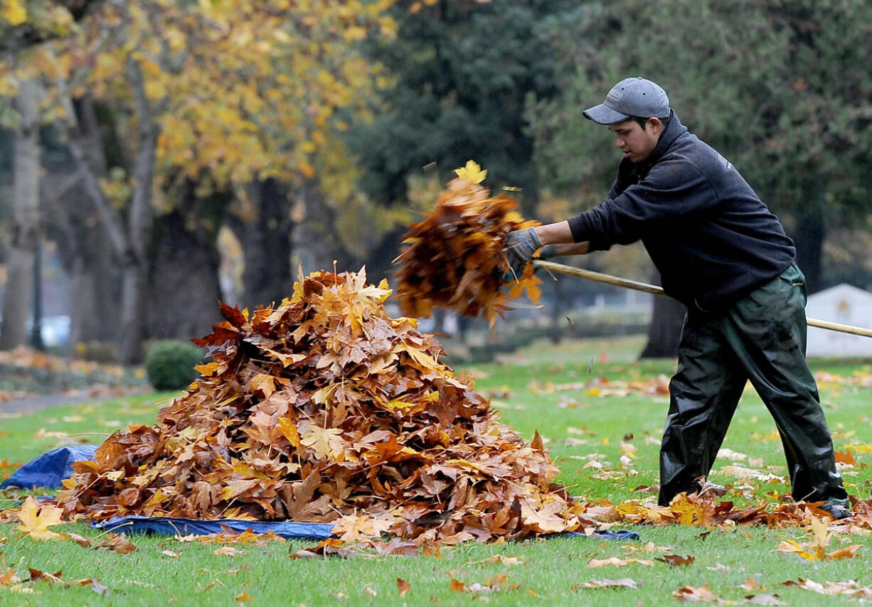 Alejandro Garcia works collecting leaves along Fort Vancouver Way in Vancouver on Thursday as the first taste of a potent wet weather system arrived in the metro area.