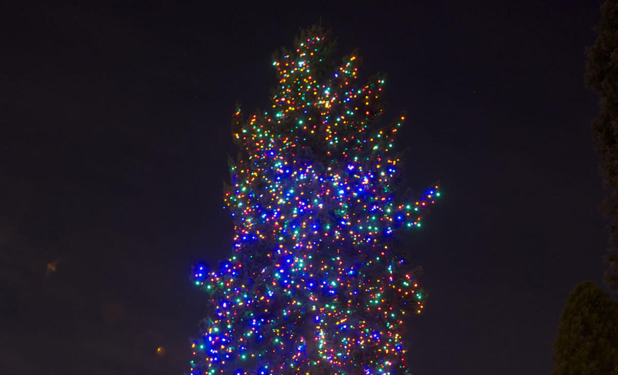 Broken lights on the Christmas tree in Esther Short Park's Propstra Square were replaced Thursday. One or more squirrels are to blame for a partial strand of lights that did not work at the Nov.