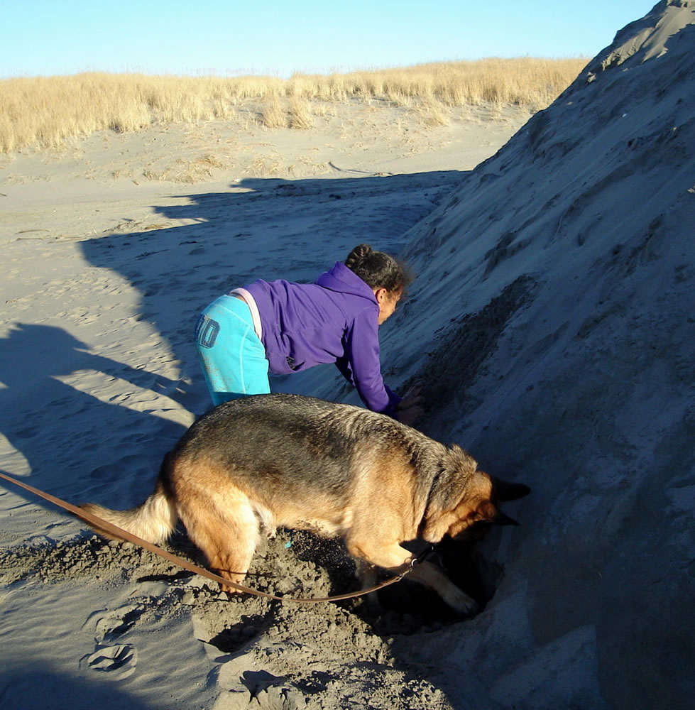 I took this photo at Ocean Park, Washington earlier this year of my granddaughter and my dog digging together in the sand.  Whenever she digs, the dog must also dig.