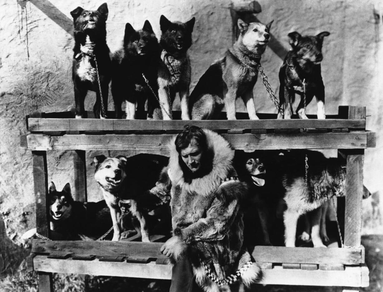 Gunnar Kaasen poses in 1925 with the dog team he drove through a blizzard to deliver life-saving serum to Nome, Alaska.