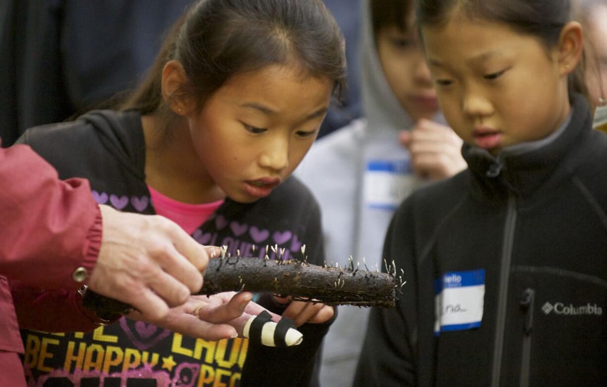 Kiara Mueller, 11, left, and her sister Tiana Mueller, 9, look at coral fungi during a guided mushroom hunting hike at Columbia Springs Family Field Trip Day in 2012.